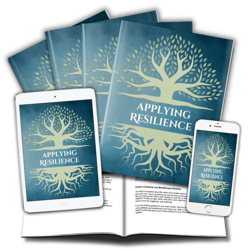 Lesson 4 Applying Resilience marketing mockup image