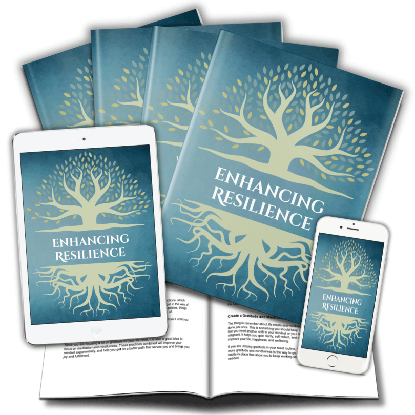 Lesson 3 Enhancing Resilience marketing mockup image