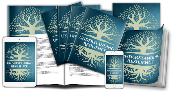 Lesson 1 Understanding Resilience ecover set - marketing mockup image