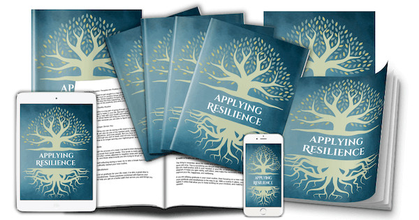 Lesson 4 Applying Resilience ecover set - marketing mockup image