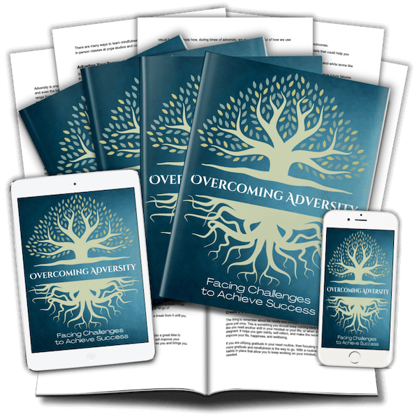 Overcoming Adversity PLR Lead Magnet - marketing image v1