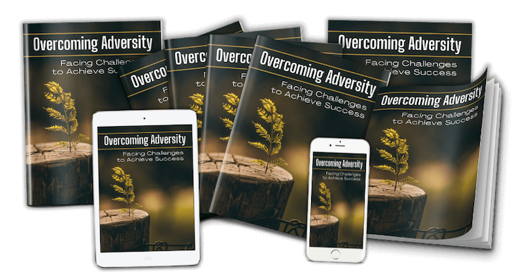 Overcoming Adversity PLR ecover set v2 - marketing image