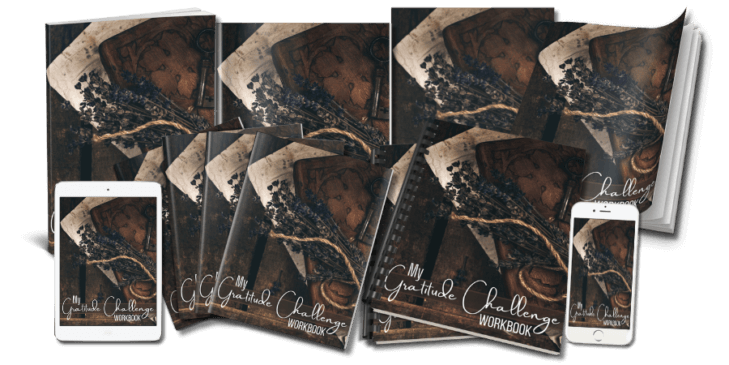 GratitudeChallenge_WorkbookeCovers_v1 Gratitude Challenge Canva Workbook eCovers v1 marketing image