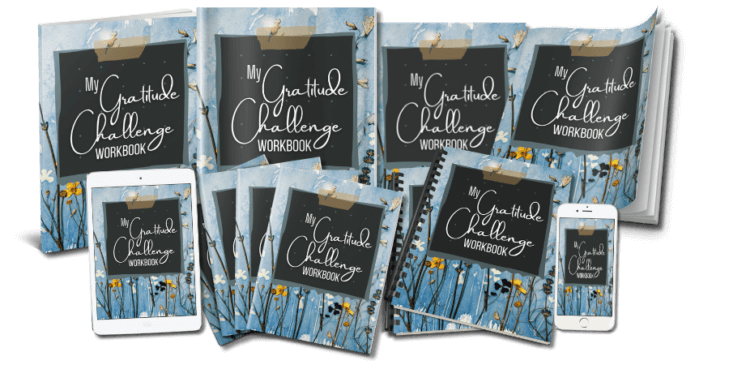 GratitudeChallenge_WorkbookeCovers_v2 Gratitude Challenge Canva Workbook eCovers v2 marketing image