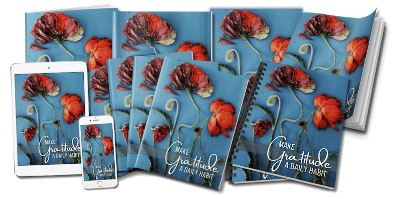 Gratitude_DailyHabit_eCovers_v2 Gratitude Daily Habit Lead Magnet eCover v1 - composite marketing image