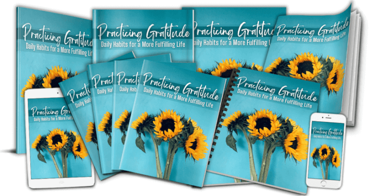 PracticingGratitude_eCovers_v1 Practicing Gratitude PLR Workbook eCover designs - composite marketing image - version 1