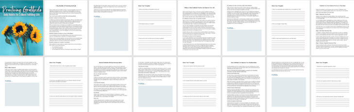 PracticingGratitude_workbook_full_docx-729x232 Practicing Gratitude PLR Workbook Word docx file - full version marketing image