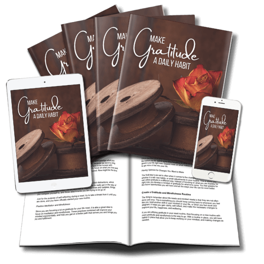 ResetYourLife_LeadMagnet2_covers_v1 Gratitude Daily Habit Lead Magnet eCover v2 - composite marketing image
