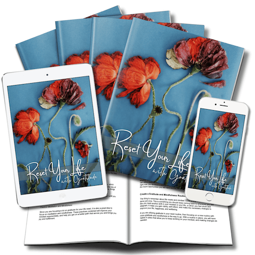 ResetYourLife_LeadMagnet_covers_v1 Reset Your Life with Gratitude Lead Magnet #1 eCover sample images - version 1