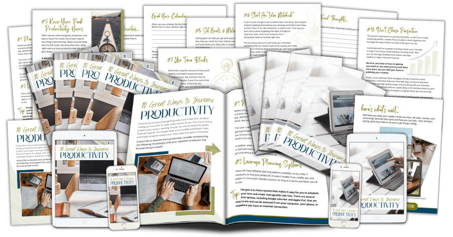 Free Productivity PLR Lead Magnet Kit