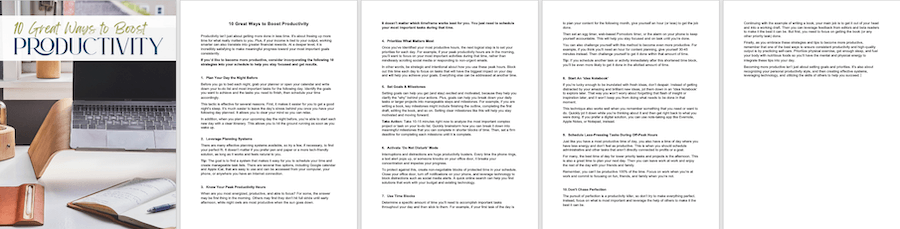 EZI_FreeProductivity_docx Free Productivity PLR Lead Magnet .docx marketing image