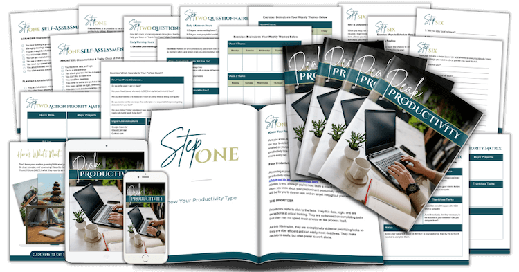 7 Day Peak Productivity Challenge PLR Workbook main marketing image