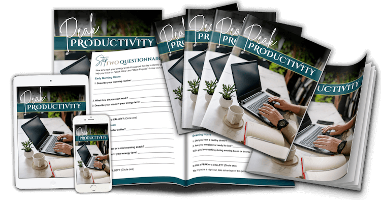 7 Day Peak Productivity Challenge PLR Workbook ecovers v2 marketing image