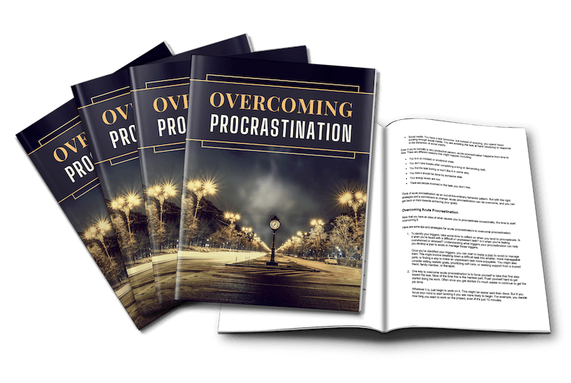 Overcoming Procrastination PLR Report inside look marketing image