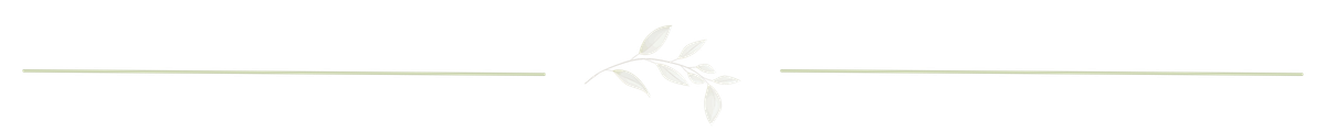 decorative line